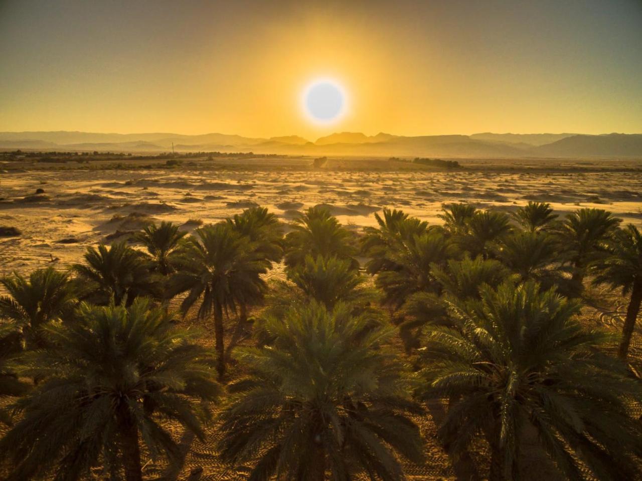 Lotan Desert Travel Hotel Nahal Ya'alon Exterior foto